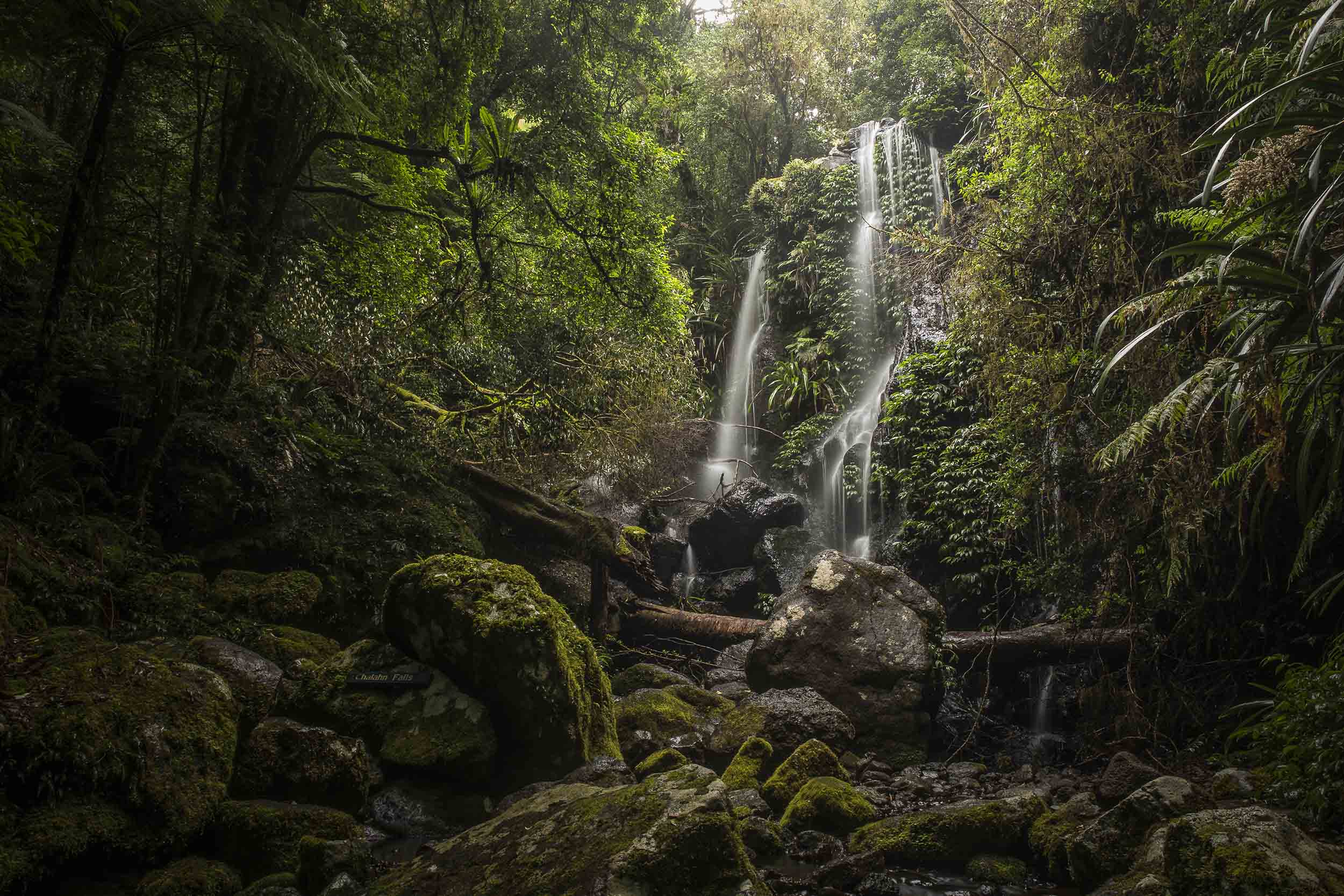 About Mt. Tamborine St Bernards Hotel