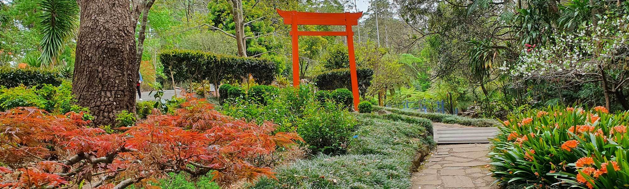 Tamborine Mountain Botanic Gardens St Bernards Hotel