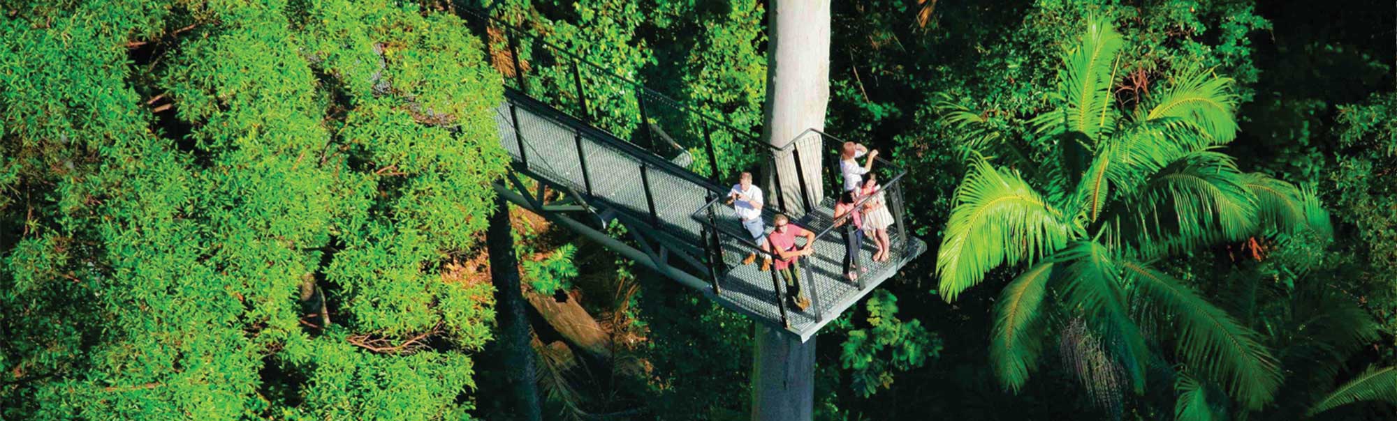 Tamborine Mountain Sky Walk St Bernards Hotel