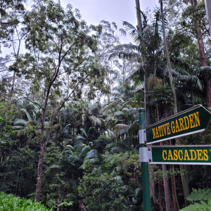 010 T.m.botanic Gardens Walks