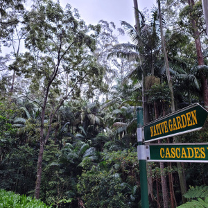 010 T.m.botanic Gardens Walks