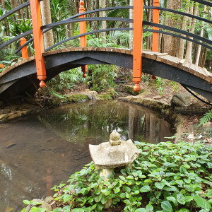 018 T.m.botanic Gardens Japanese Garden